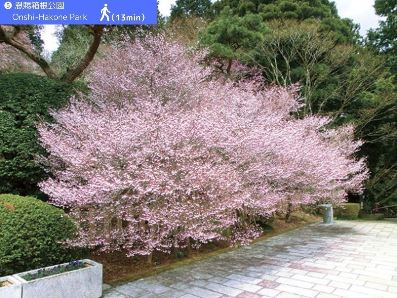 Yoichi Inn Hakone Eksteriør bilde