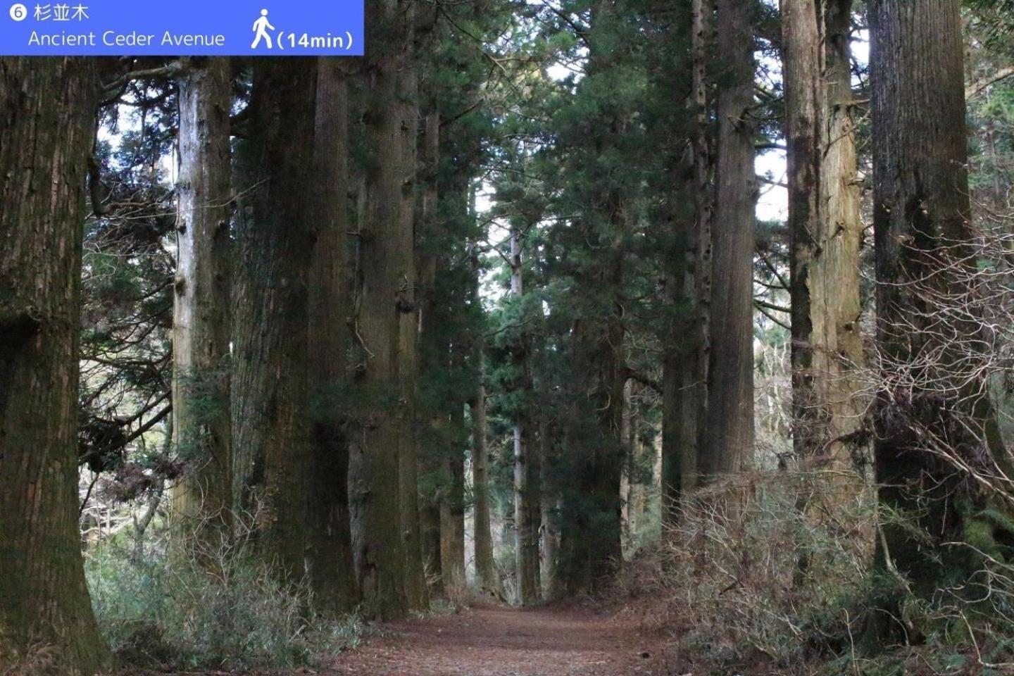 Yoichi Inn Hakone Eksteriør bilde